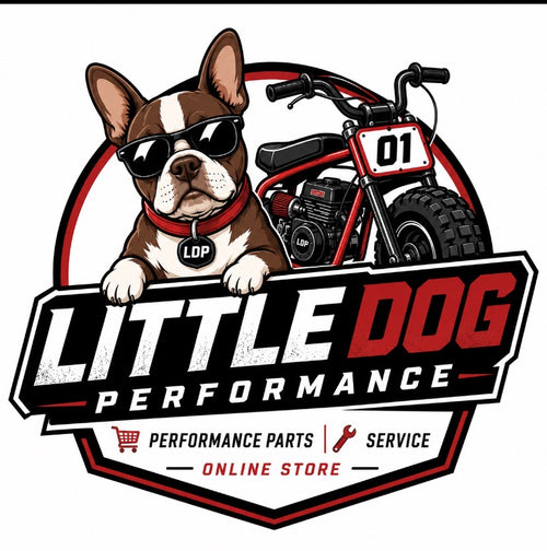 Little Dog Performance